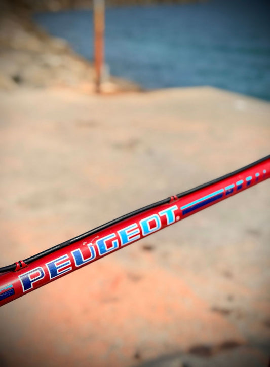 Peugeot Carbolite Vintage – détail 1