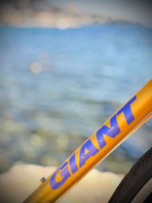 Giant Cadex Carbone – détail 1