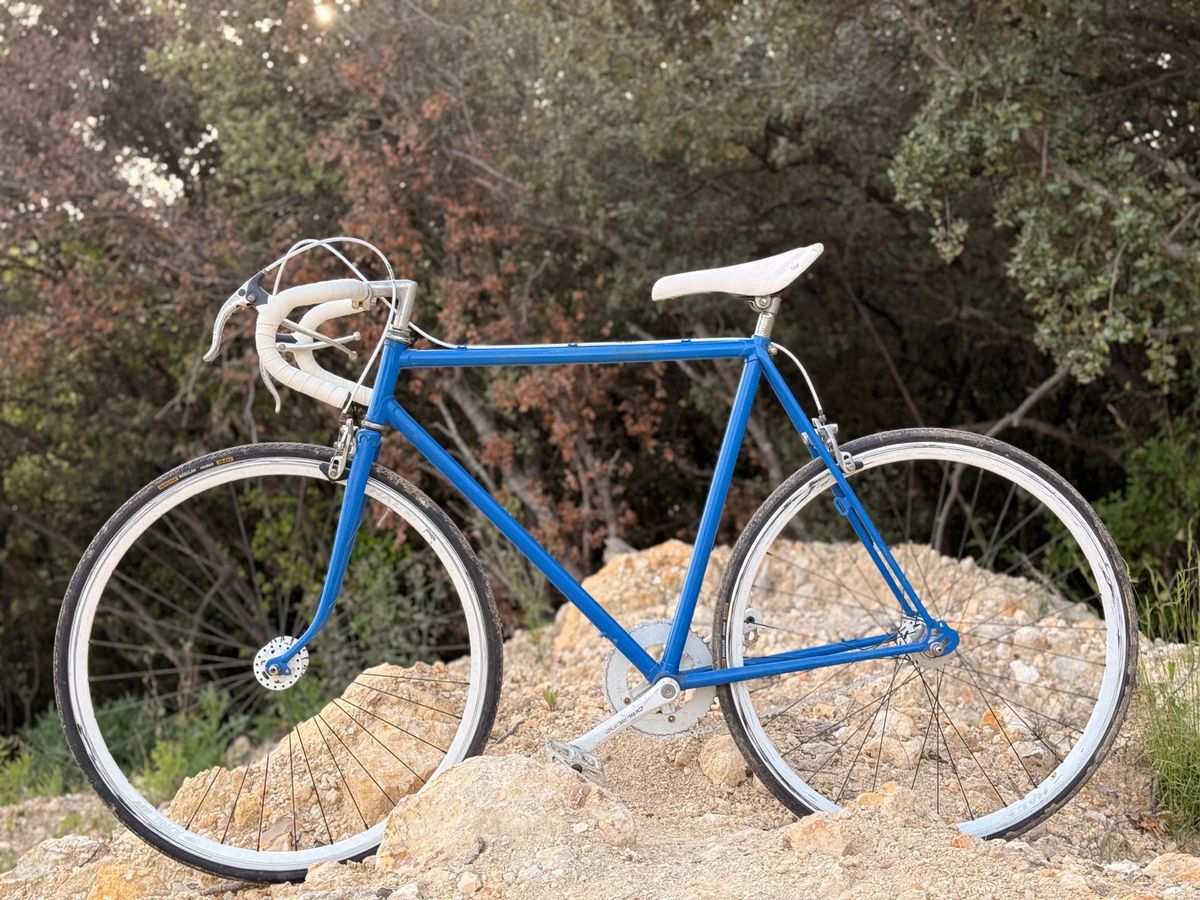 Peugeot Fixie / Single Speed Bleu – vue d'ensemble