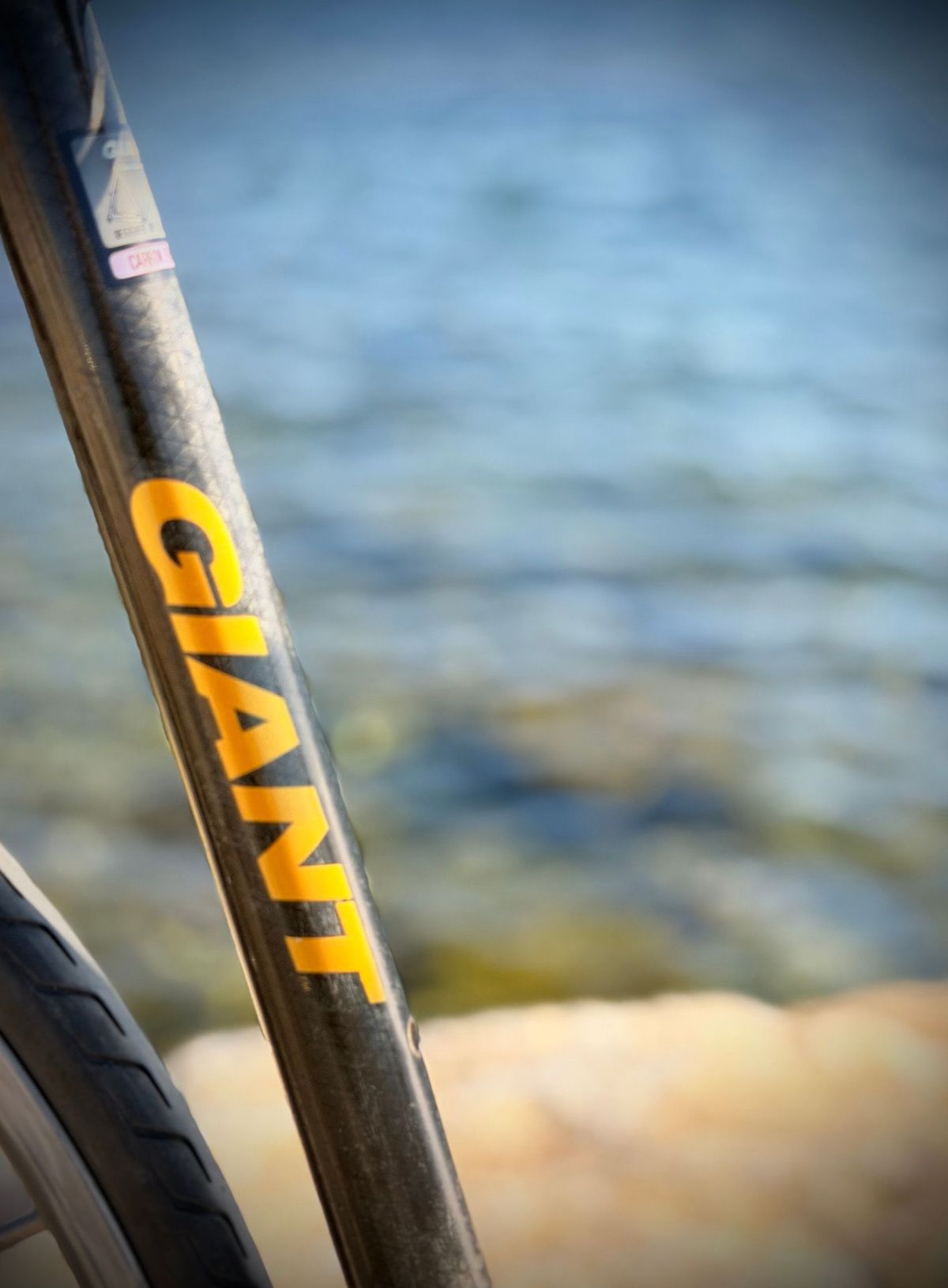 Giant Cadex Carbone – détail 3