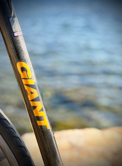 Giant Cadex Carbone – détail 3