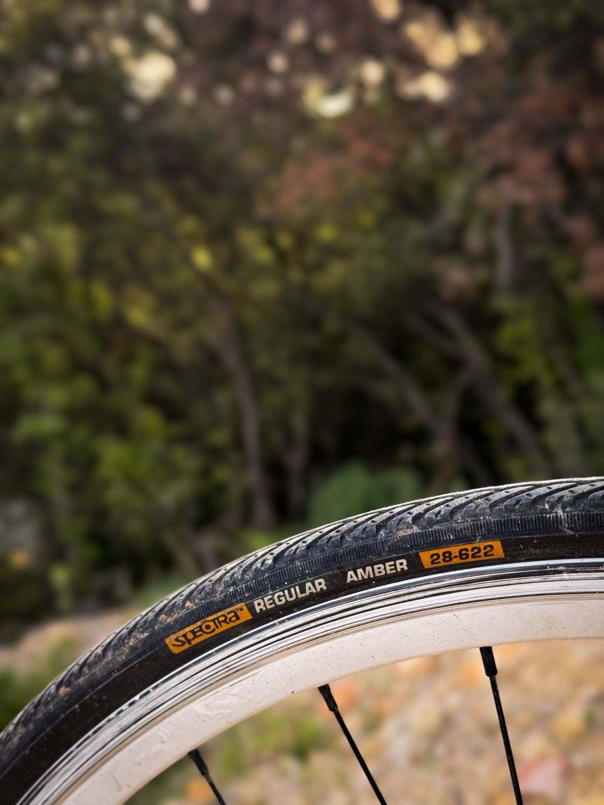 Peugeot Fixie / Single Speed Bleu – détail 4