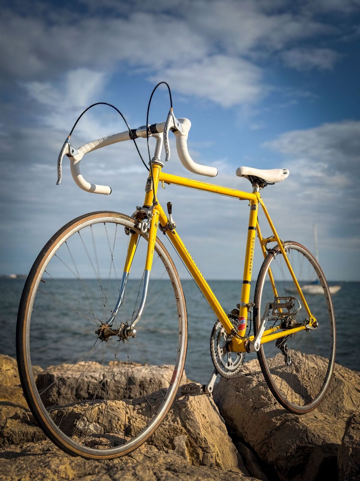 Motobécane Le Champion Vintage – détail 6