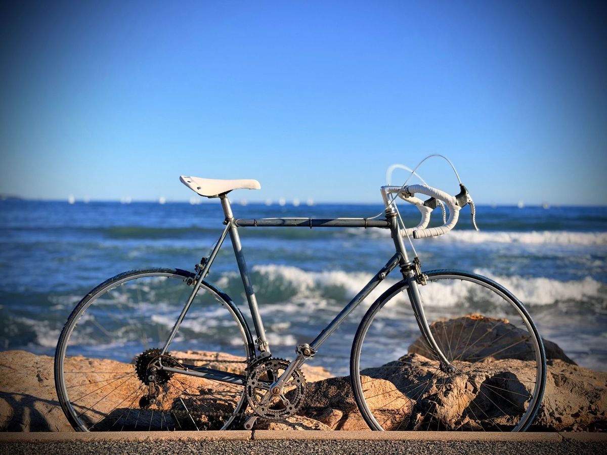 Olmo Competition Vintage – vue d'ensemble