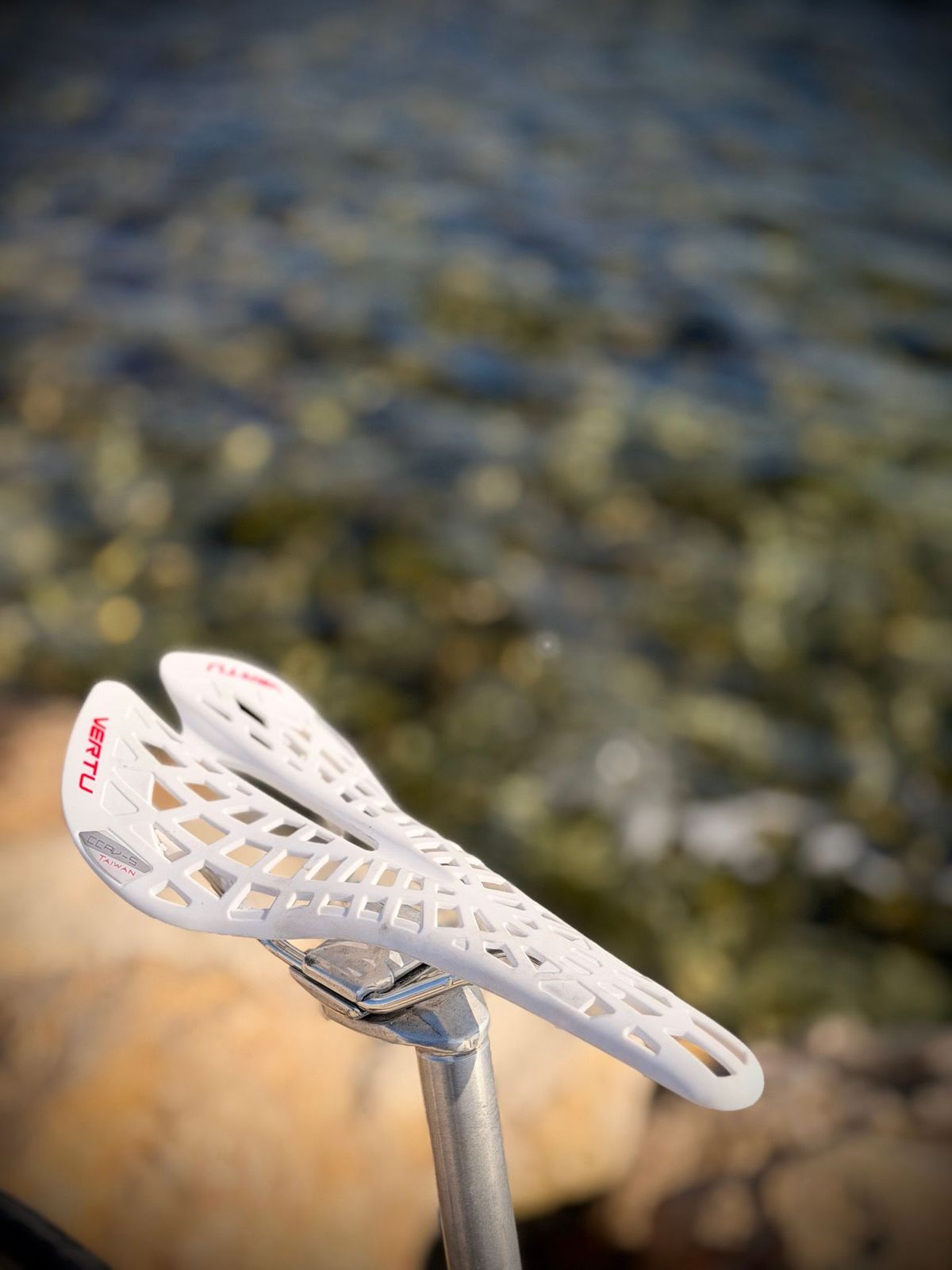 Giant Cadex Carbone – détail 7