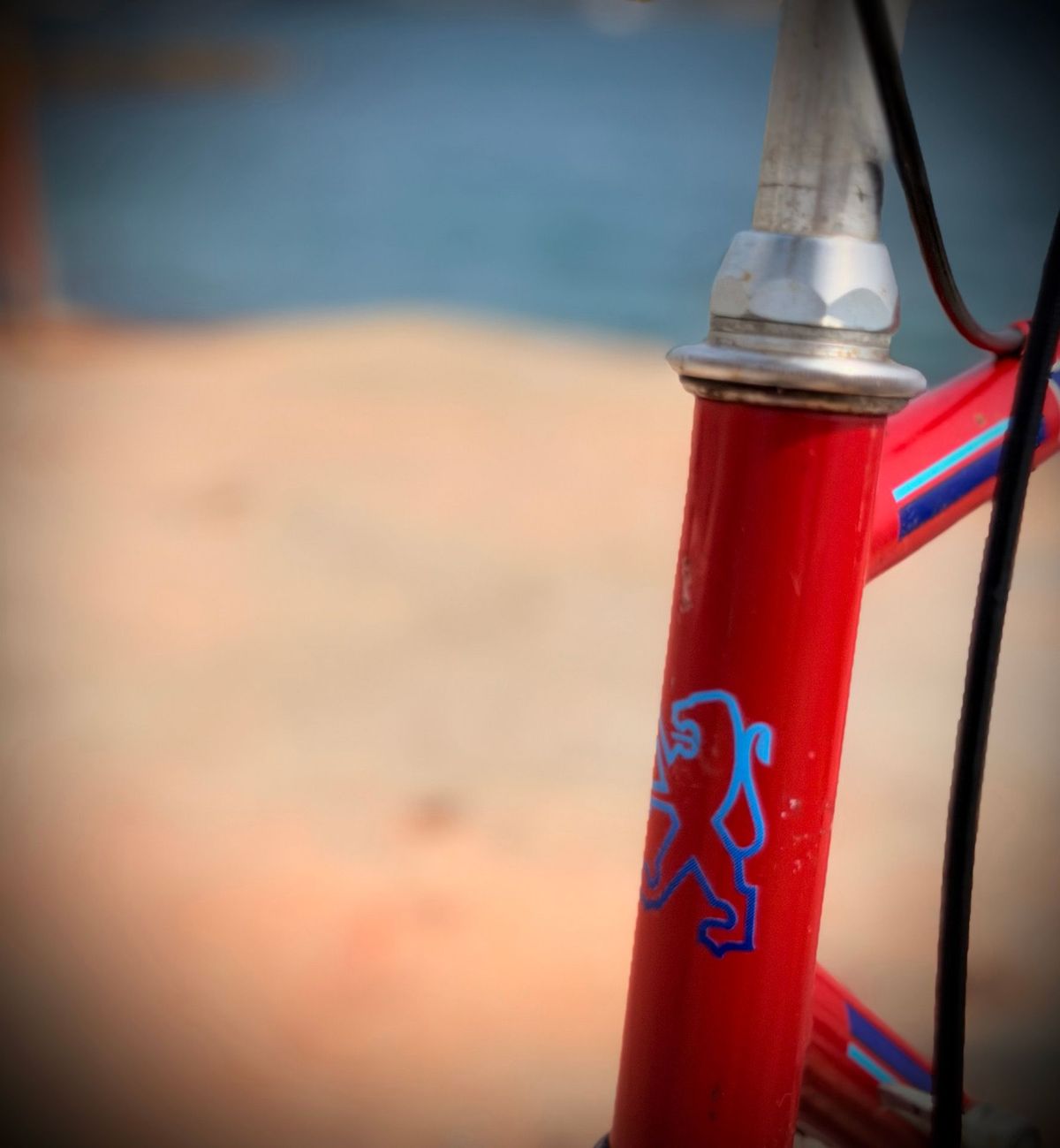 Peugeot Carbolite Vintage – détail 5