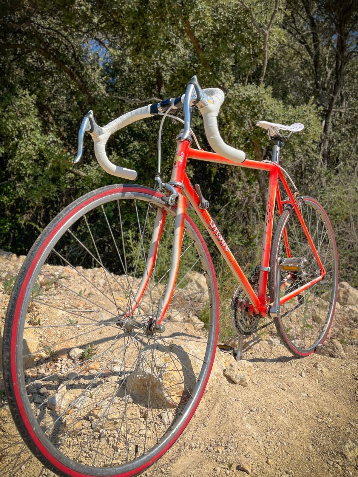 Gitane Reynolds 501 Dura-Ace – détail 5