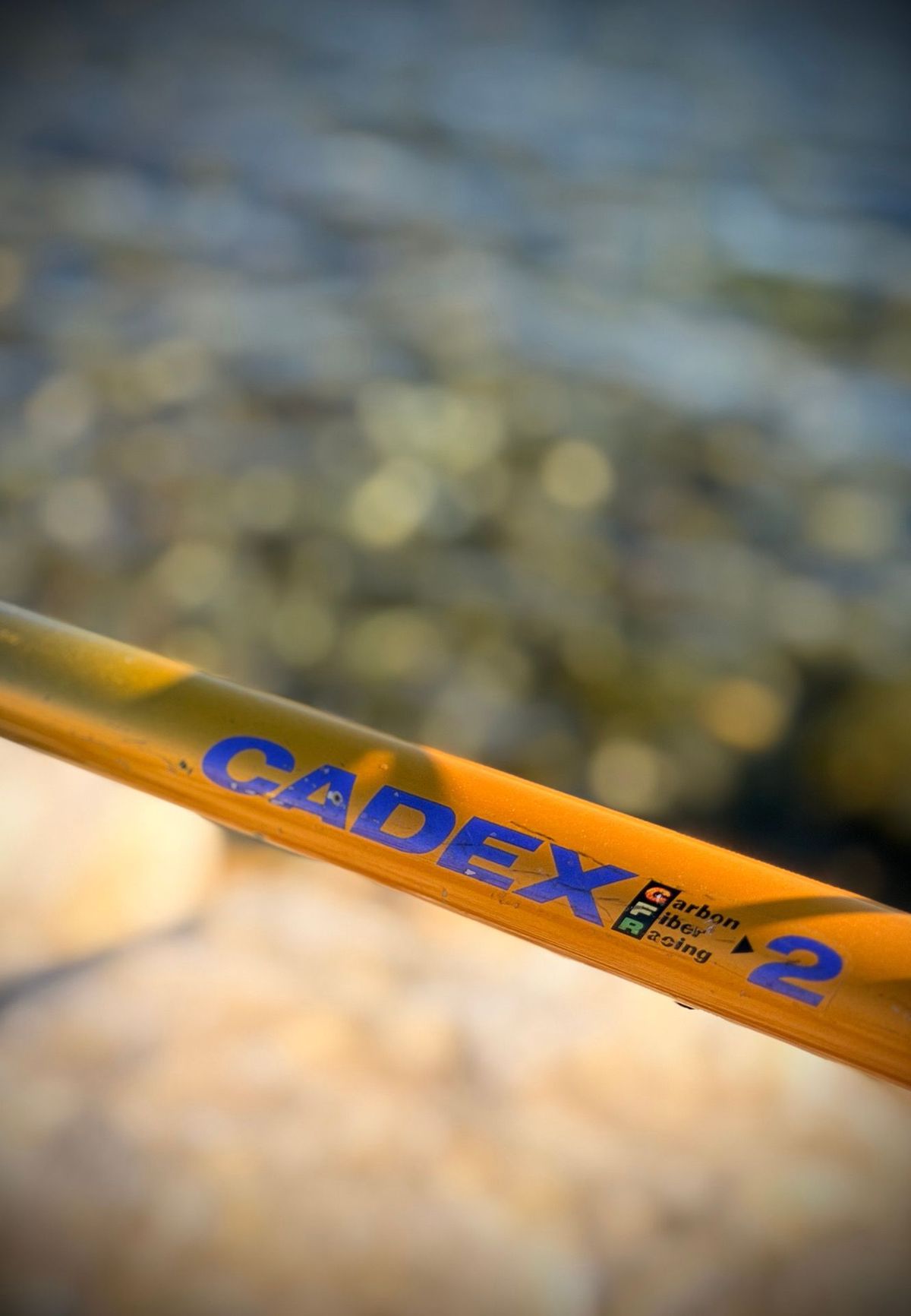 Giant Cadex Carbone – détail 2