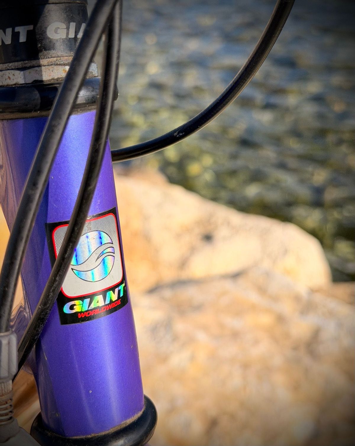 Giant Cadex Carbone – détail 6