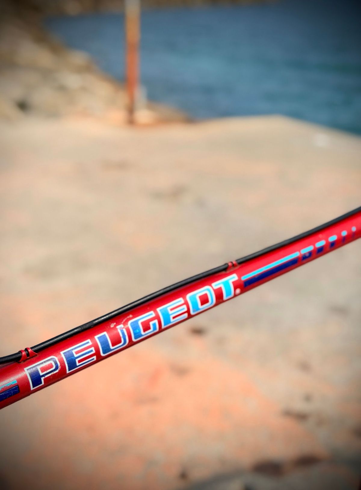 Peugeot Carbolite Vintage – détail 1