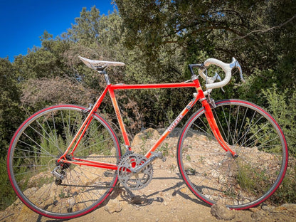 Gitane Reynolds 501 Dura-Ace – vue d'ensemble