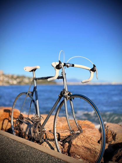 Olmo Competition Vintage – détail 6