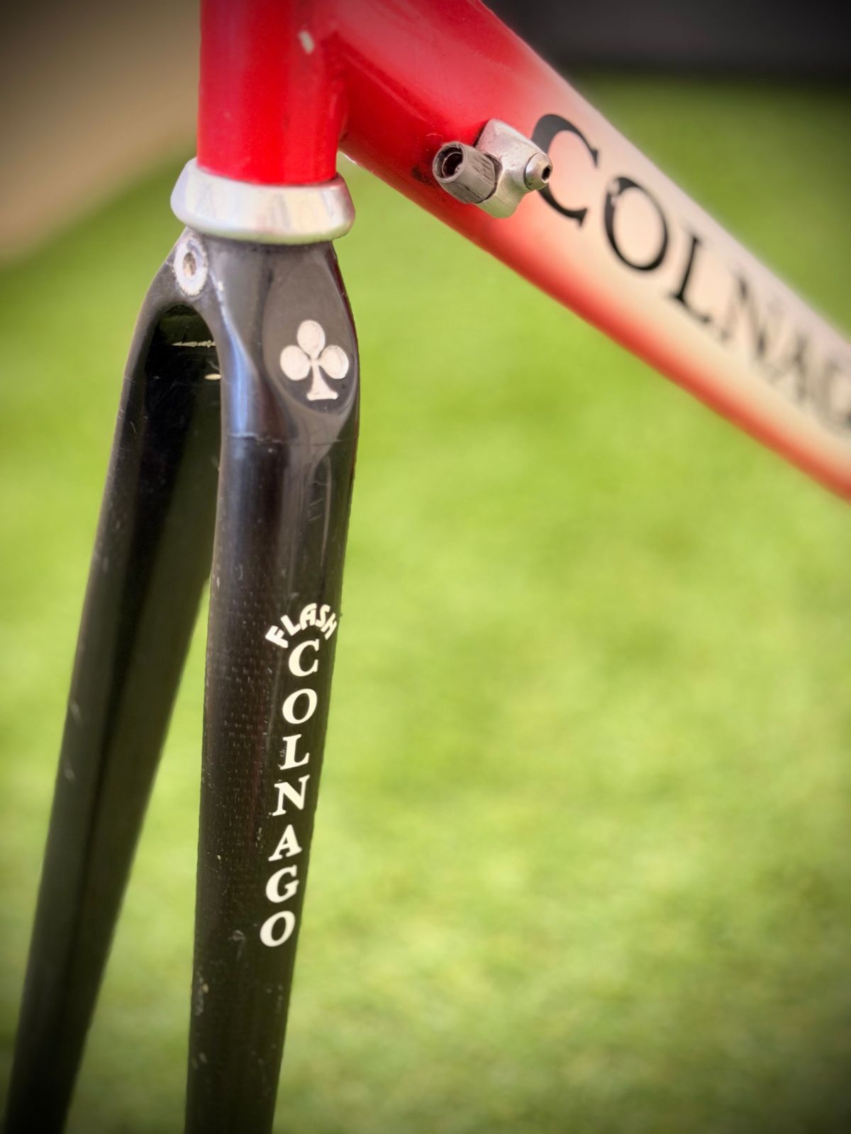 Cadre Colnago Mega Rapid – détail 2