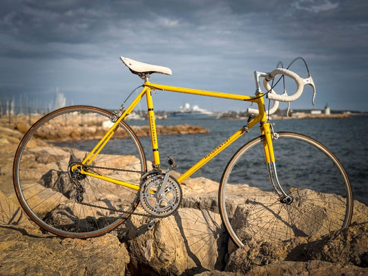 Motobécane Le Champion Vintage – vue d'ensemble