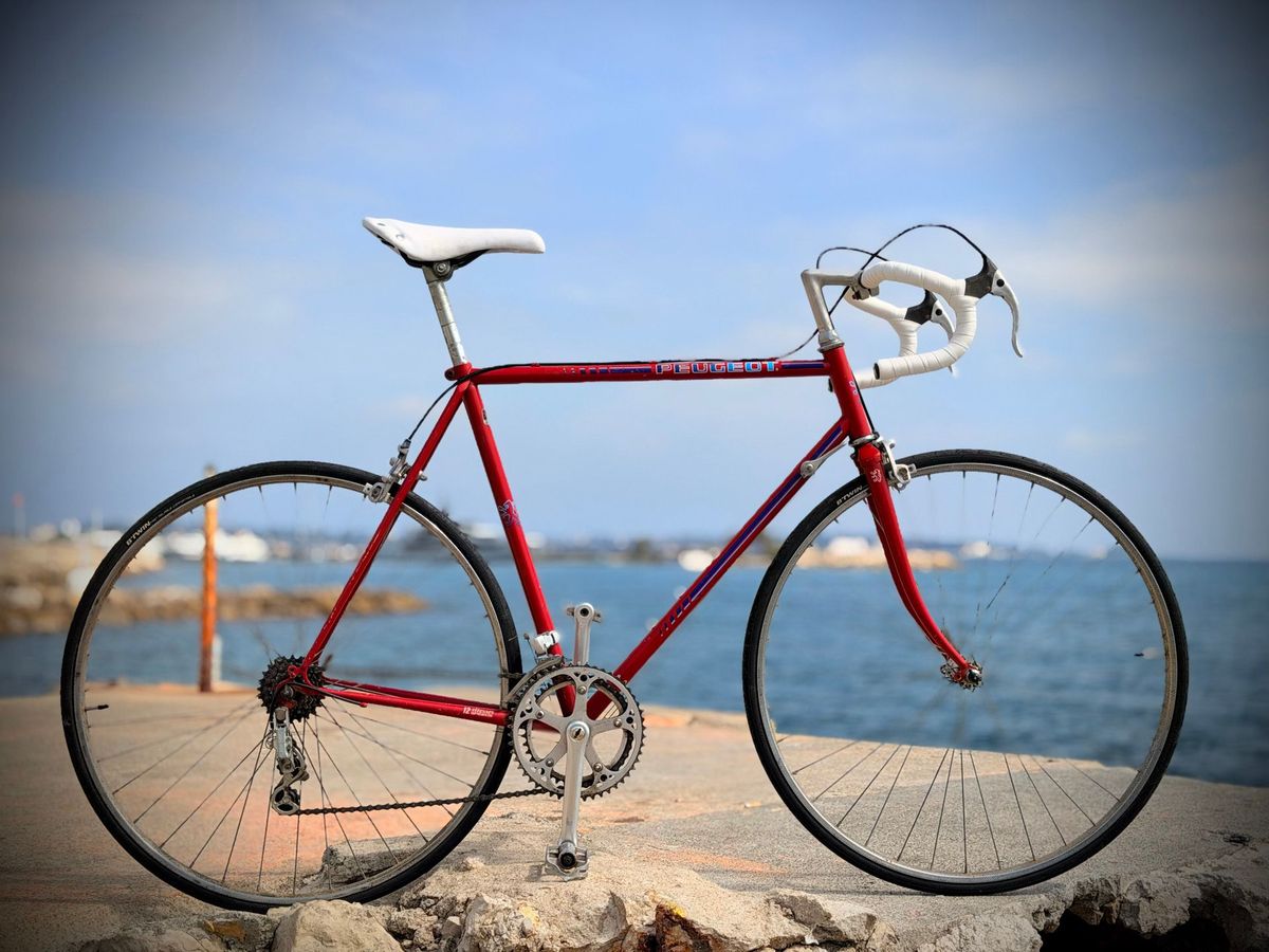 Peugeot Carbolite Vintage – vue d'ensemble