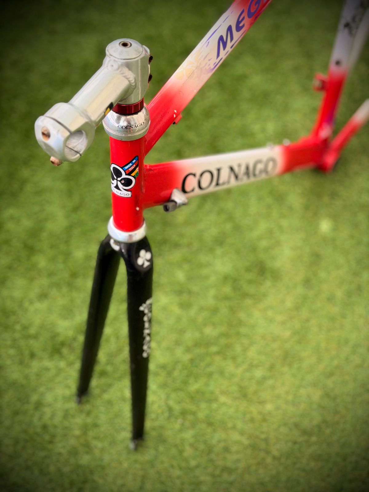 Cadre Colnago Mega Rapid – détail 1