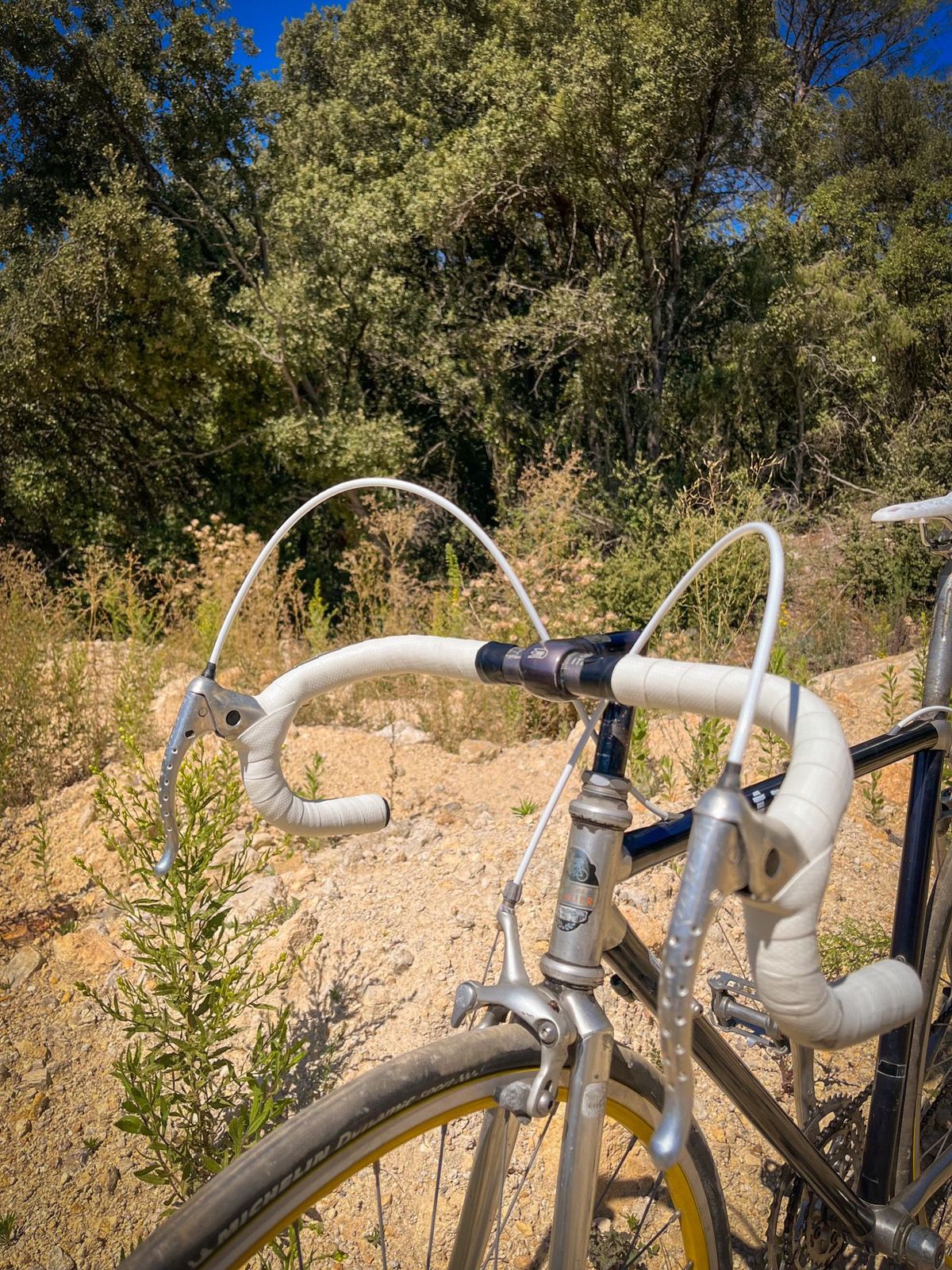 Vitus Fixie / Single Speed Noir – détail 2