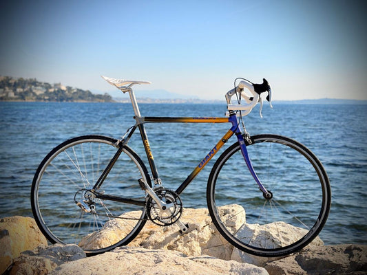 Giant Cadex Carbone – vue d'ensemble