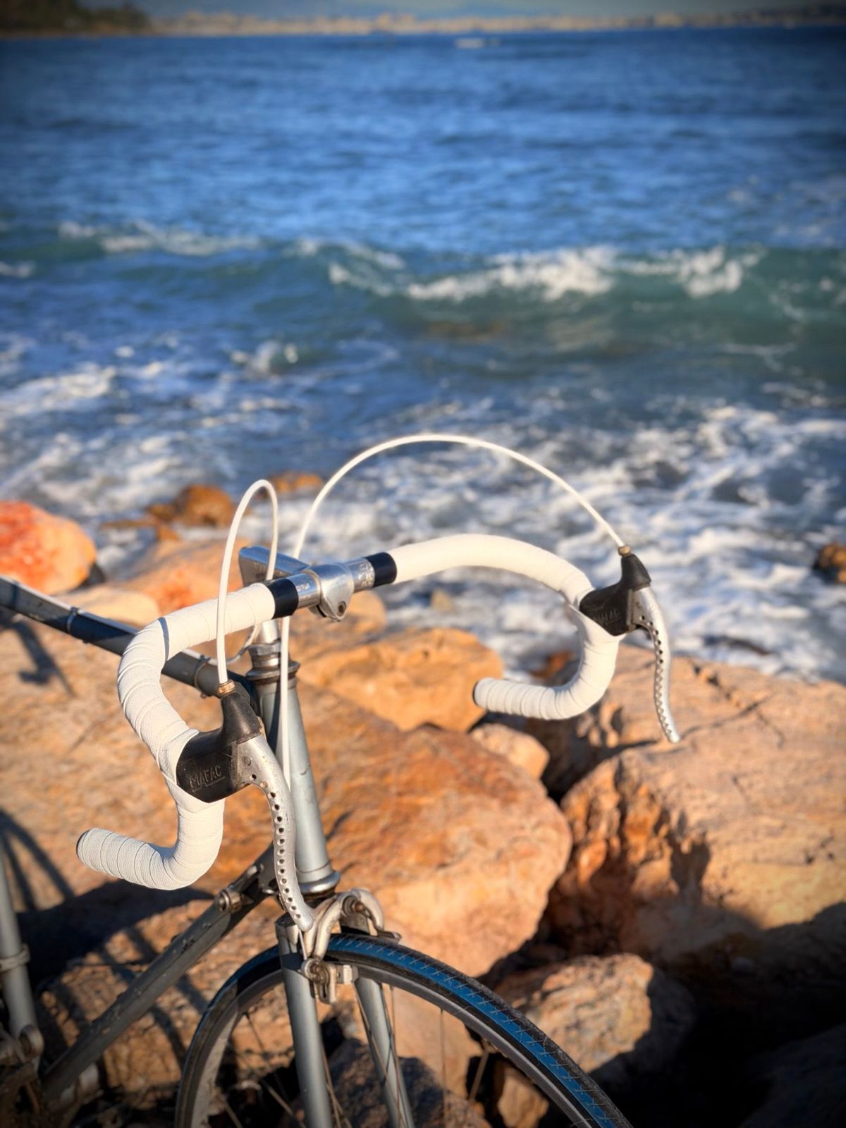 Olmo Competition Vintage – détail 4