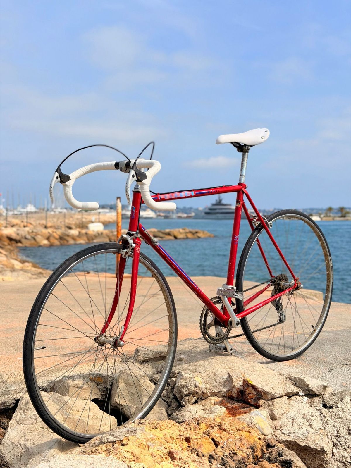Peugeot Carbolite Vintage – détail 6