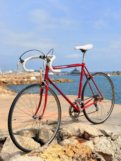 Peugeot Carbolite Vintage – détail 6