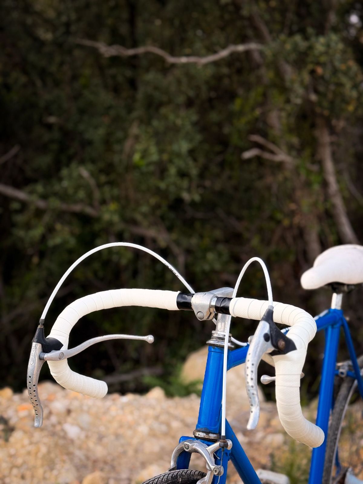 Peugeot Fixie / Single Speed Bleu – détail 1