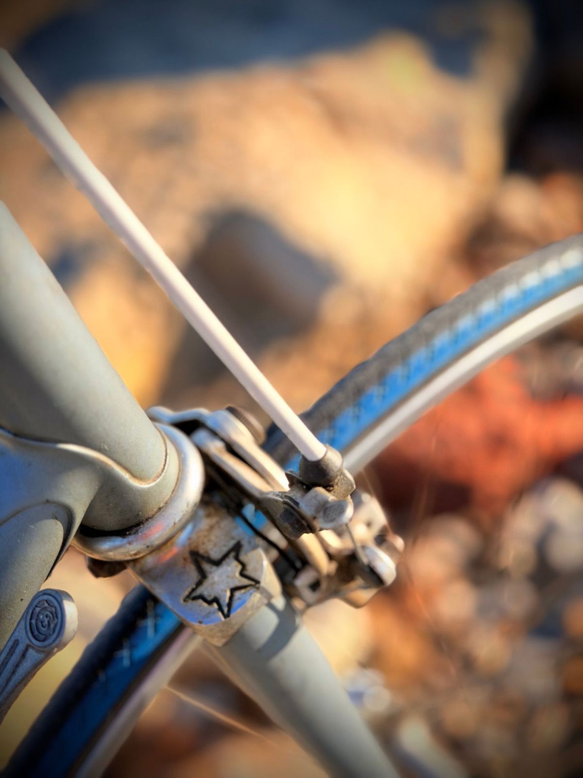 Olmo Competition Vintage – détail 3