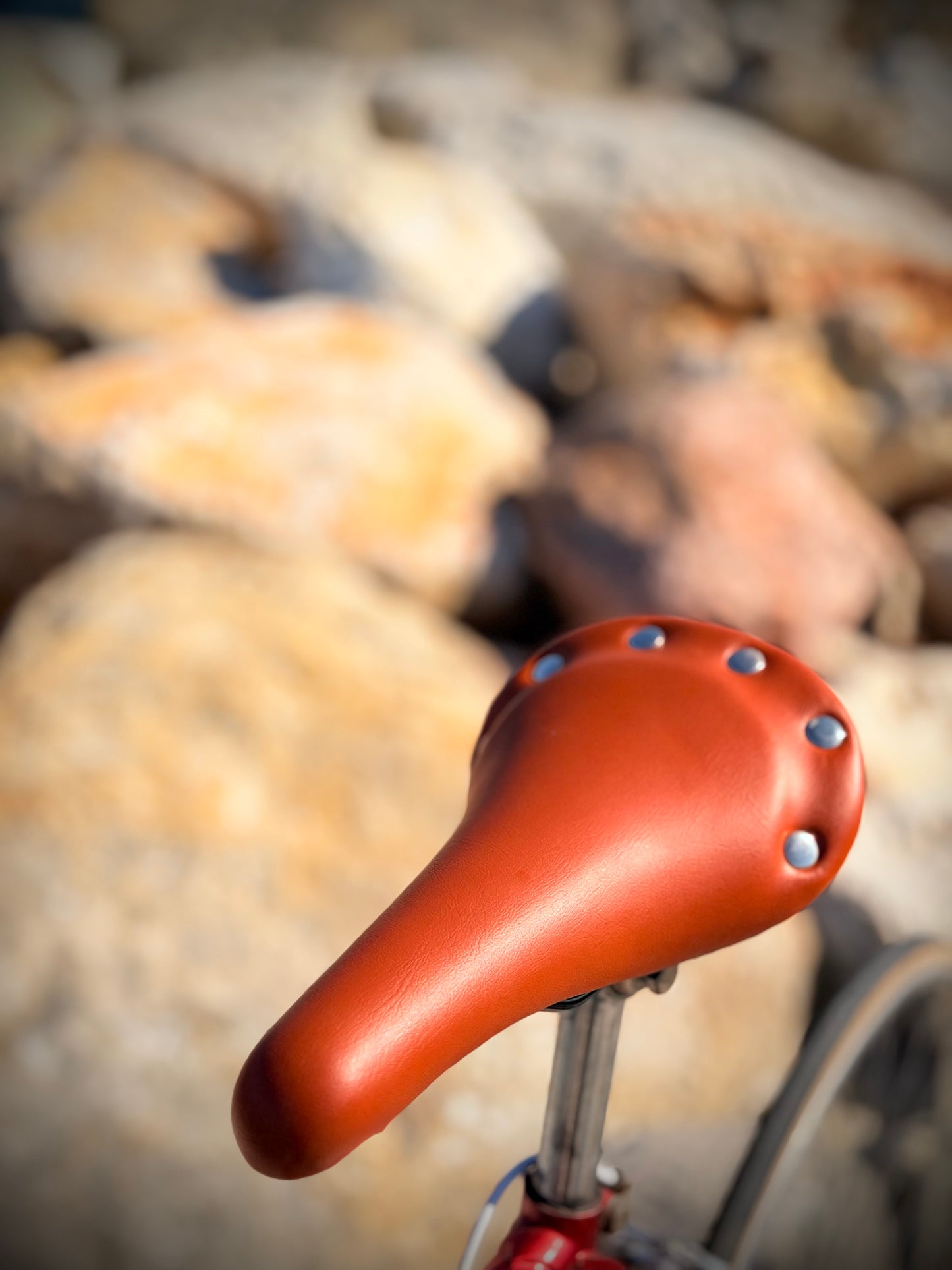 Rouge Riviera — Motobecane Simplex Vintage