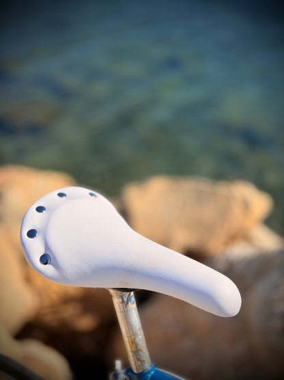 Riviera Bleu — Vitus Manufrance Hirondelle