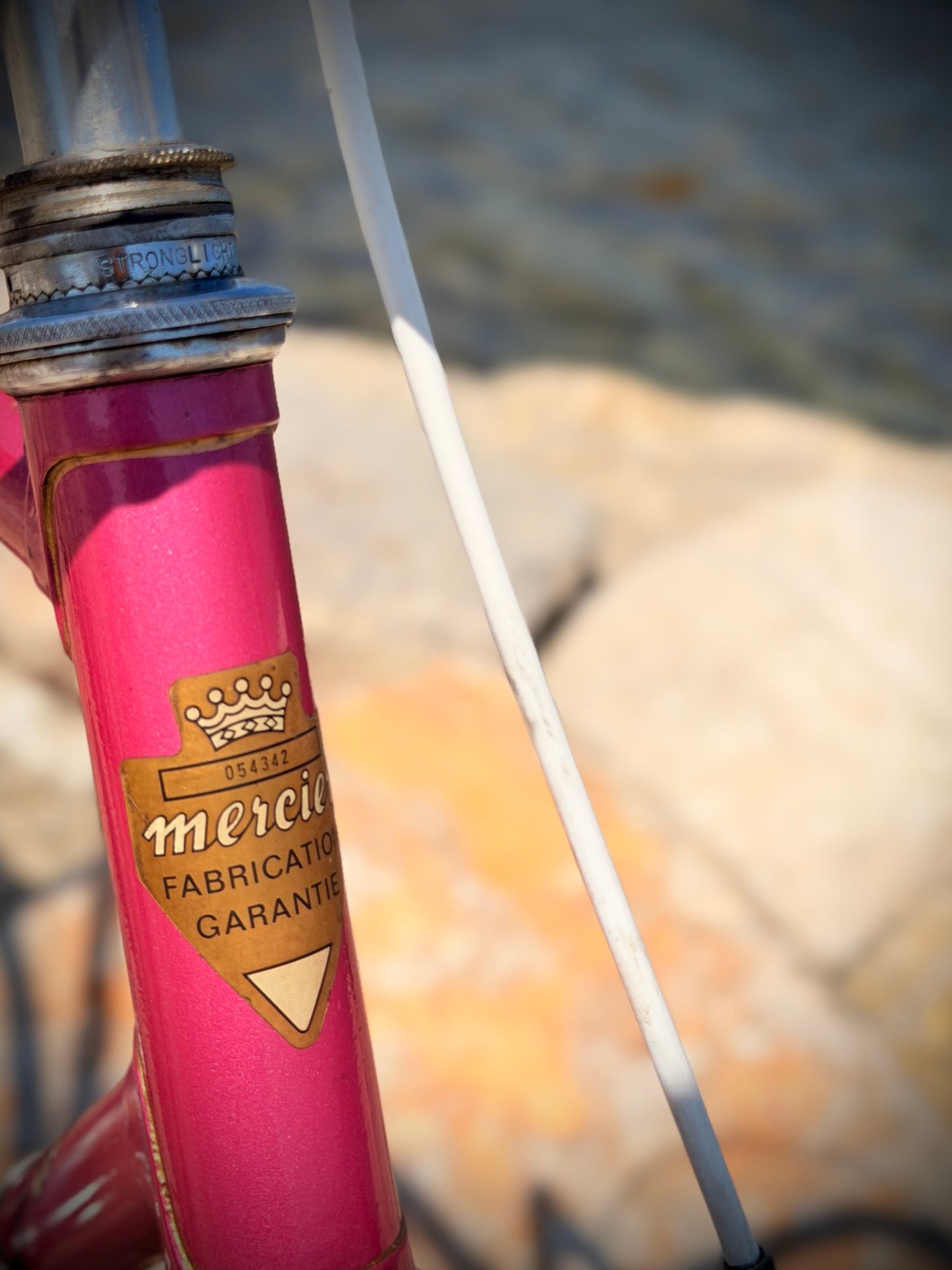Icône Riviera – Mercier Vintage Rose Signature
