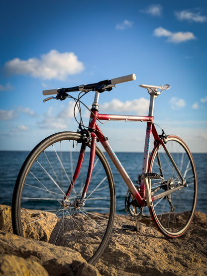 Giant Cadex Riviera Sport — Vélo Vintage Performance