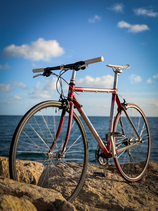 Giant Cadex Riviera Sport — Vélo Vintage Performance