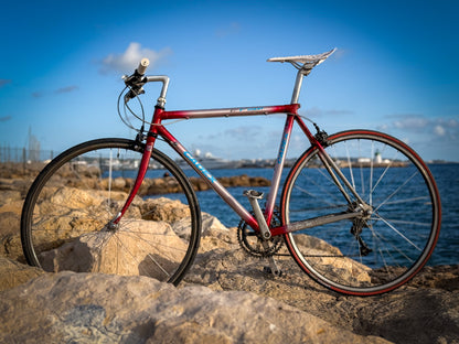 Giant Cadex Riviera Sport — Vélo Vintage Performance