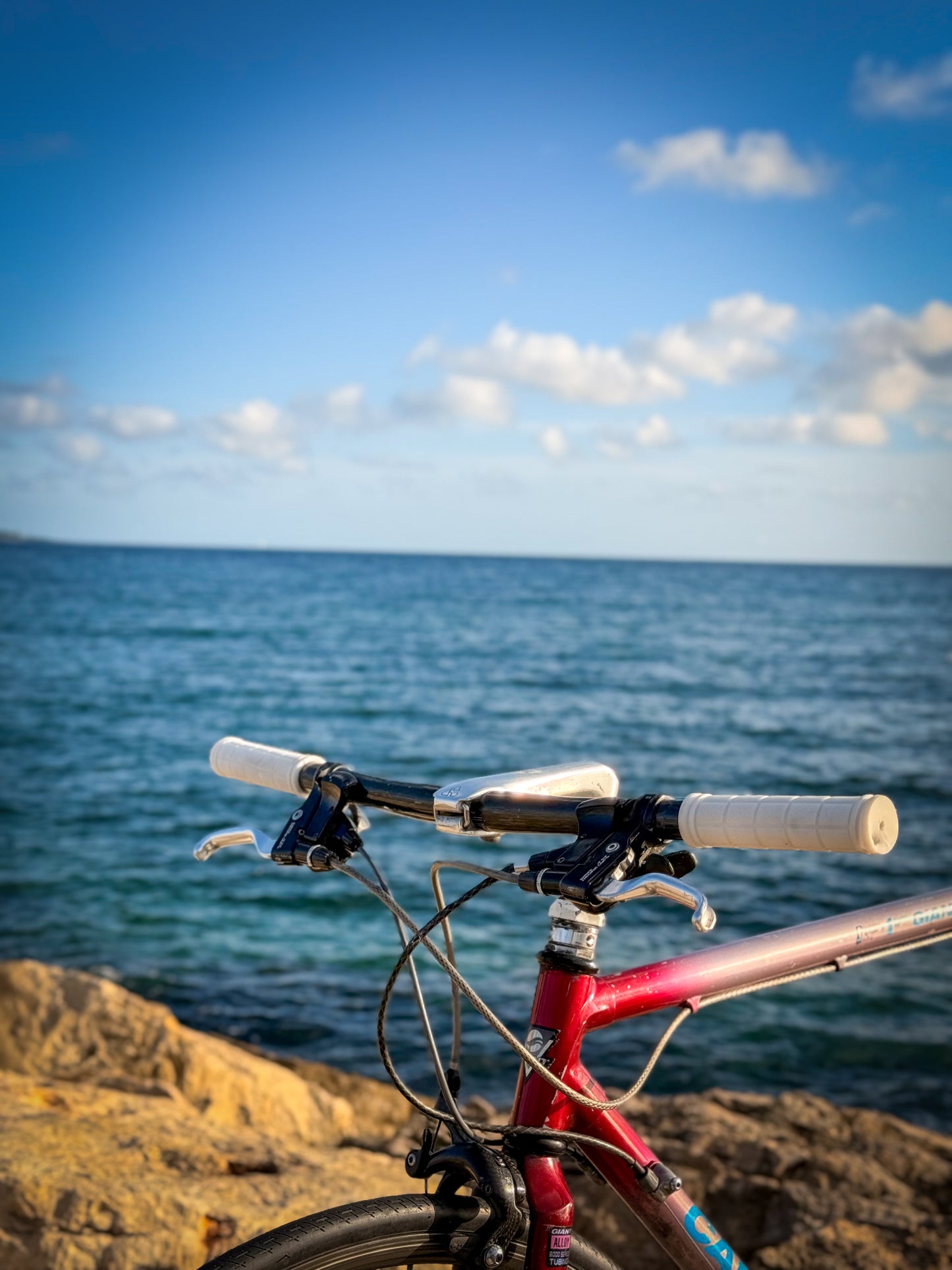 Giant Cadex Riviera Sport — Vélo Vintage Performance