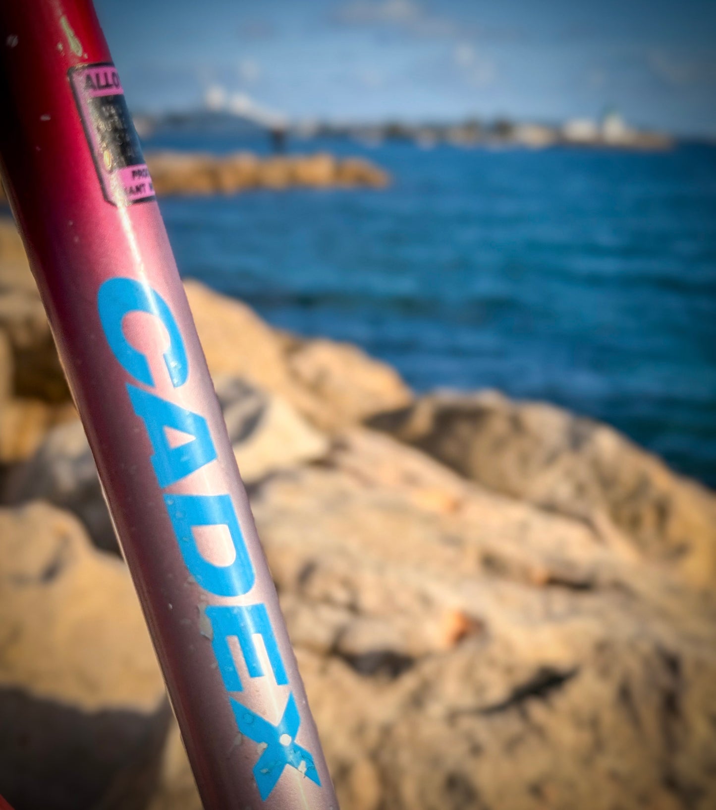 Giant Cadex Riviera Sport — Vélo Vintage Performance