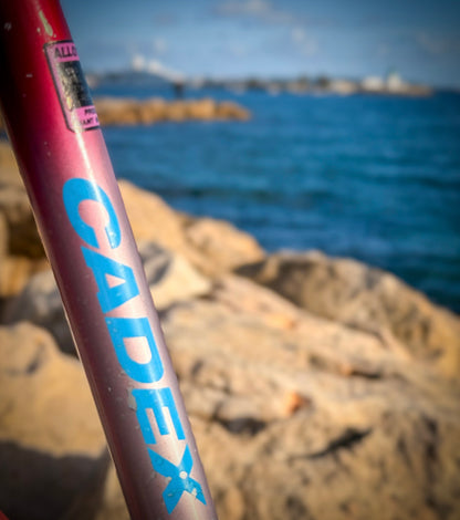 Giant Cadex Riviera Sport — Vélo Vintage Performance
